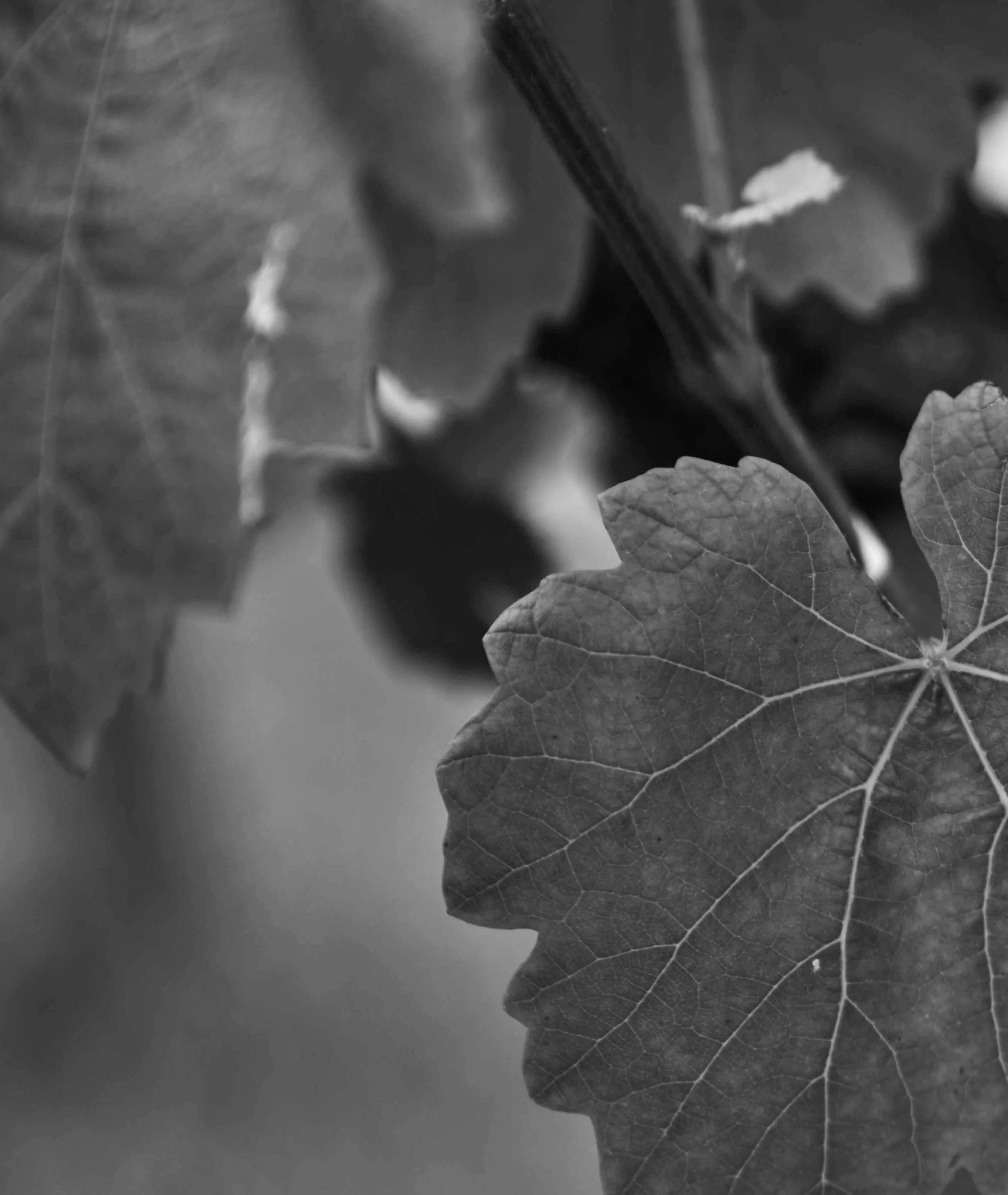 Untitled-2-CS06-04.jpg