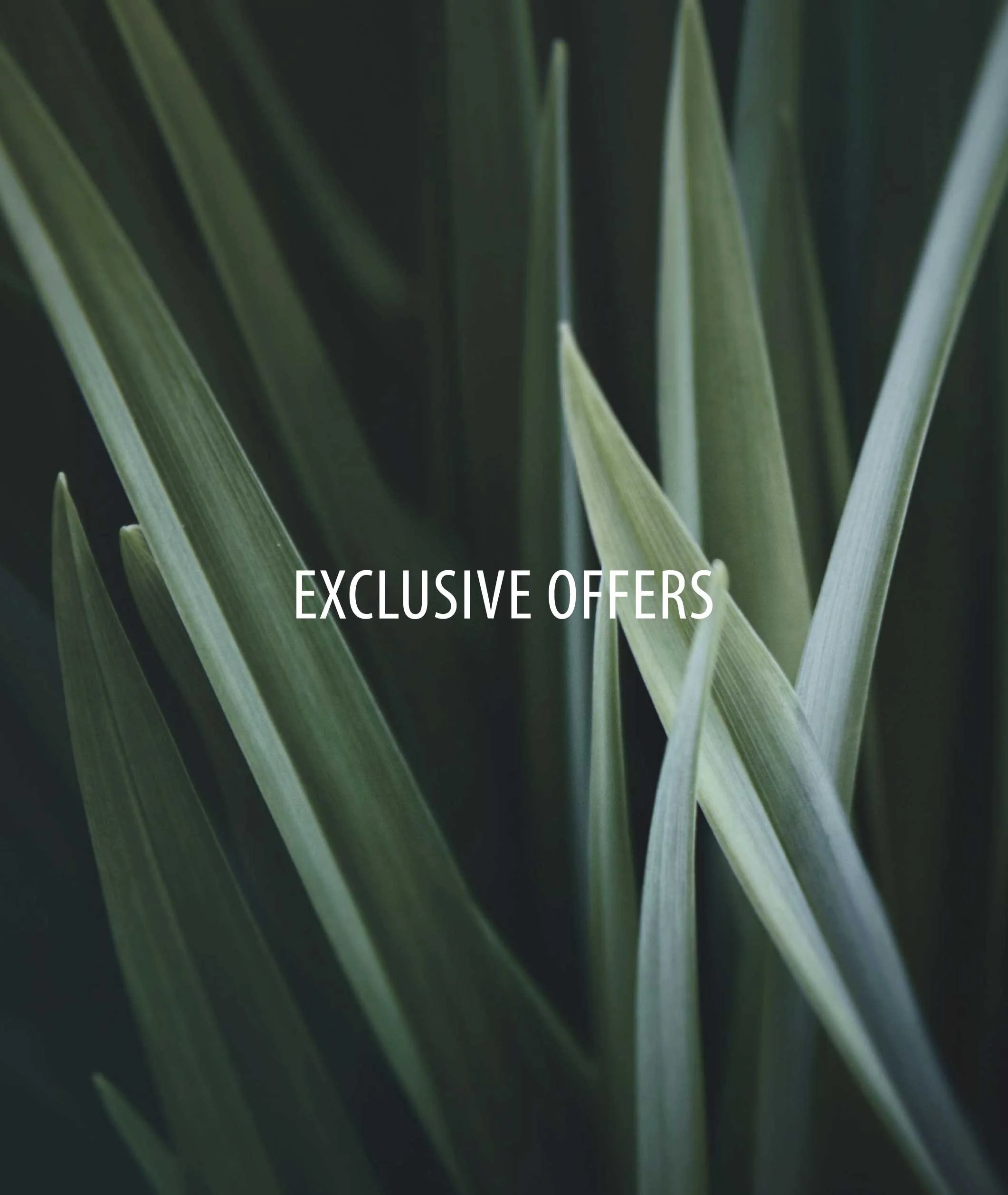 landexoffers-06.jpg