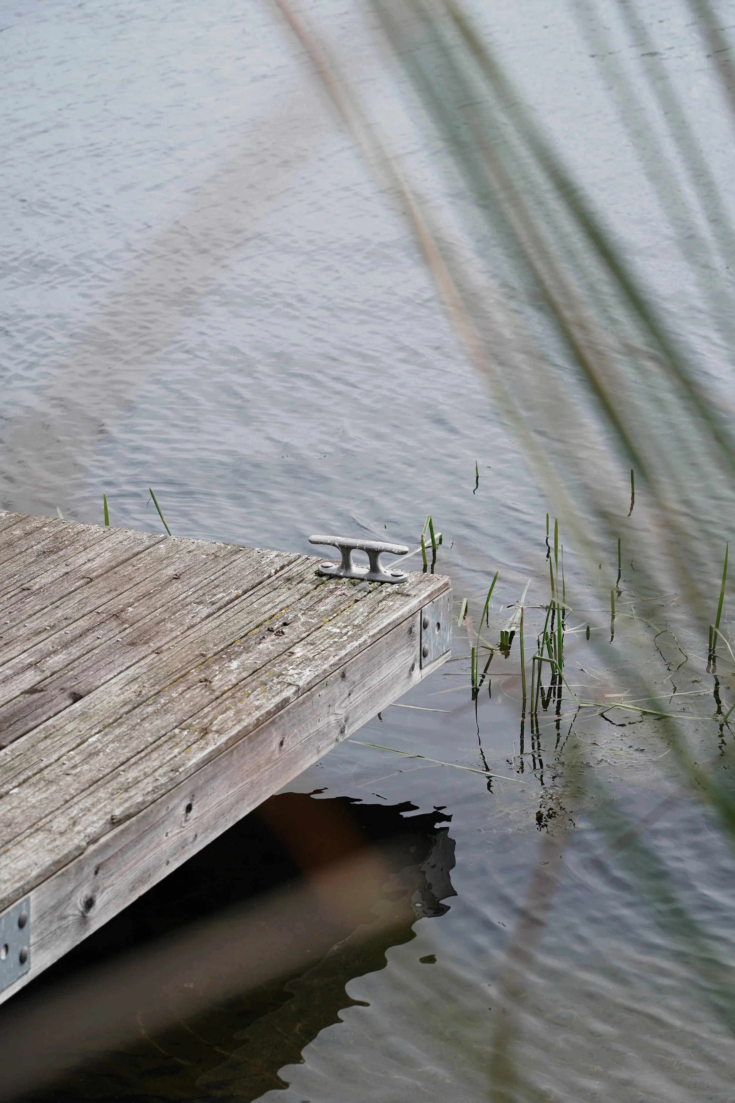 Lake Detail.JPG