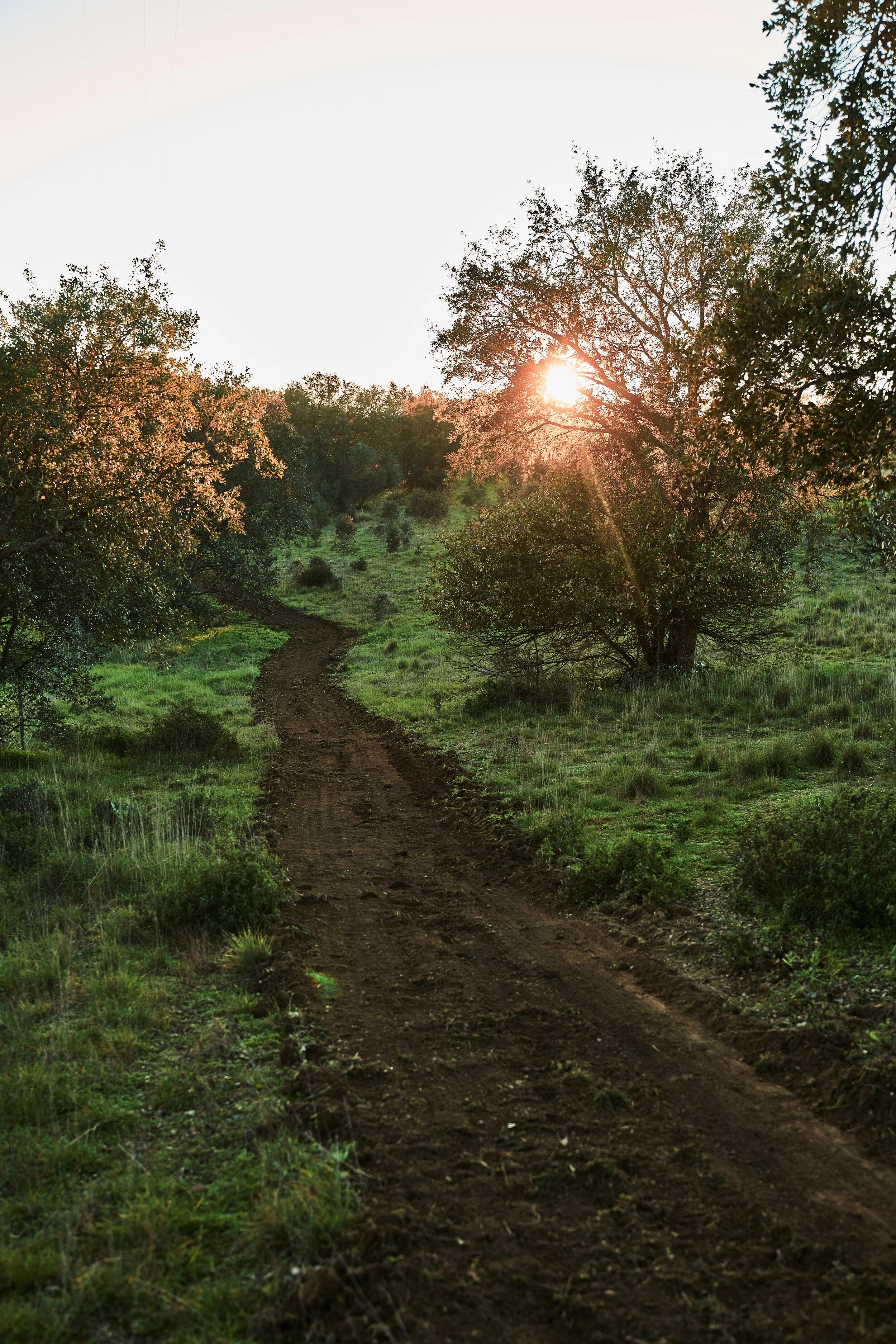 EcoTrailLow.jpg