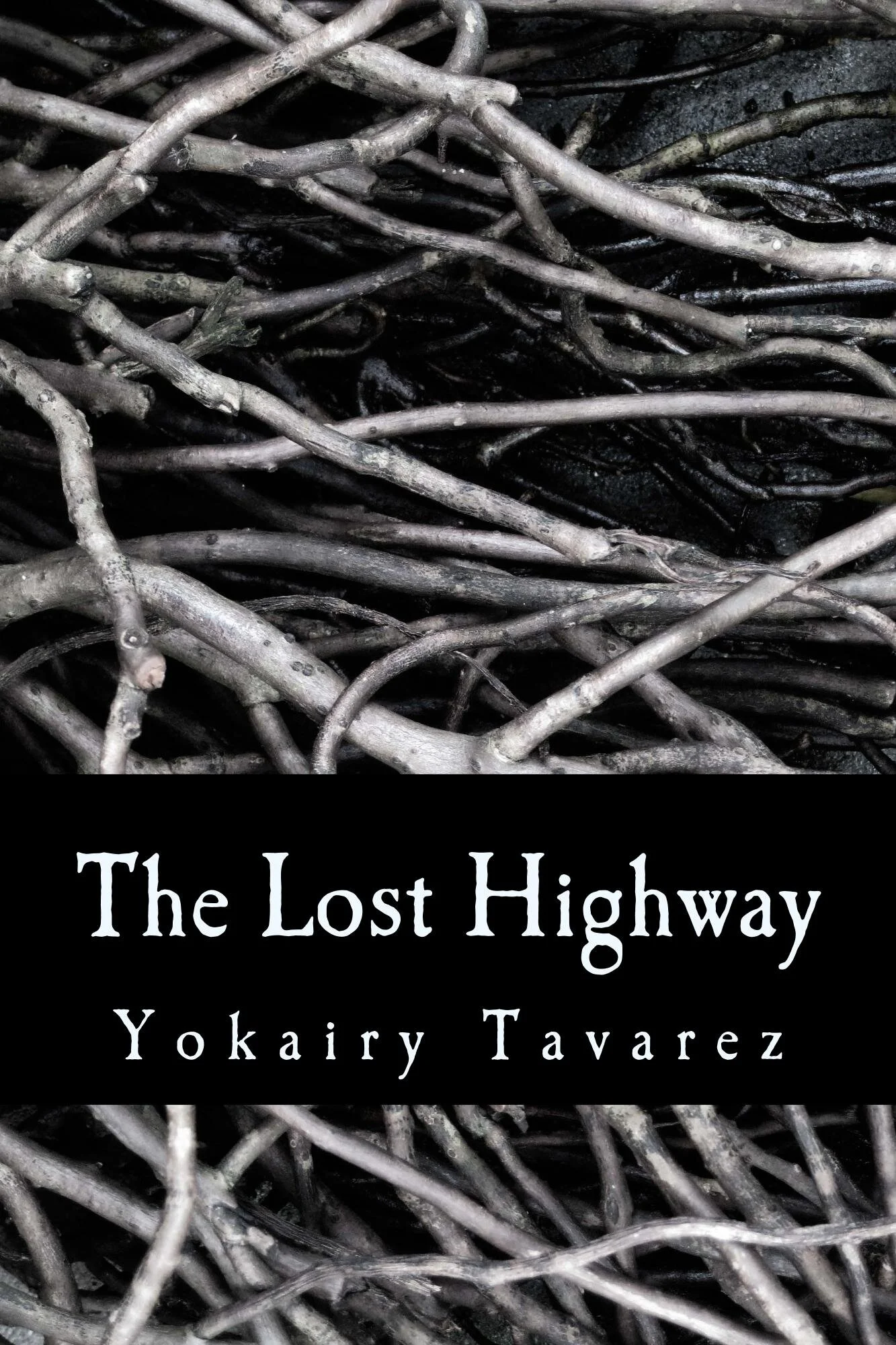 the lost highway