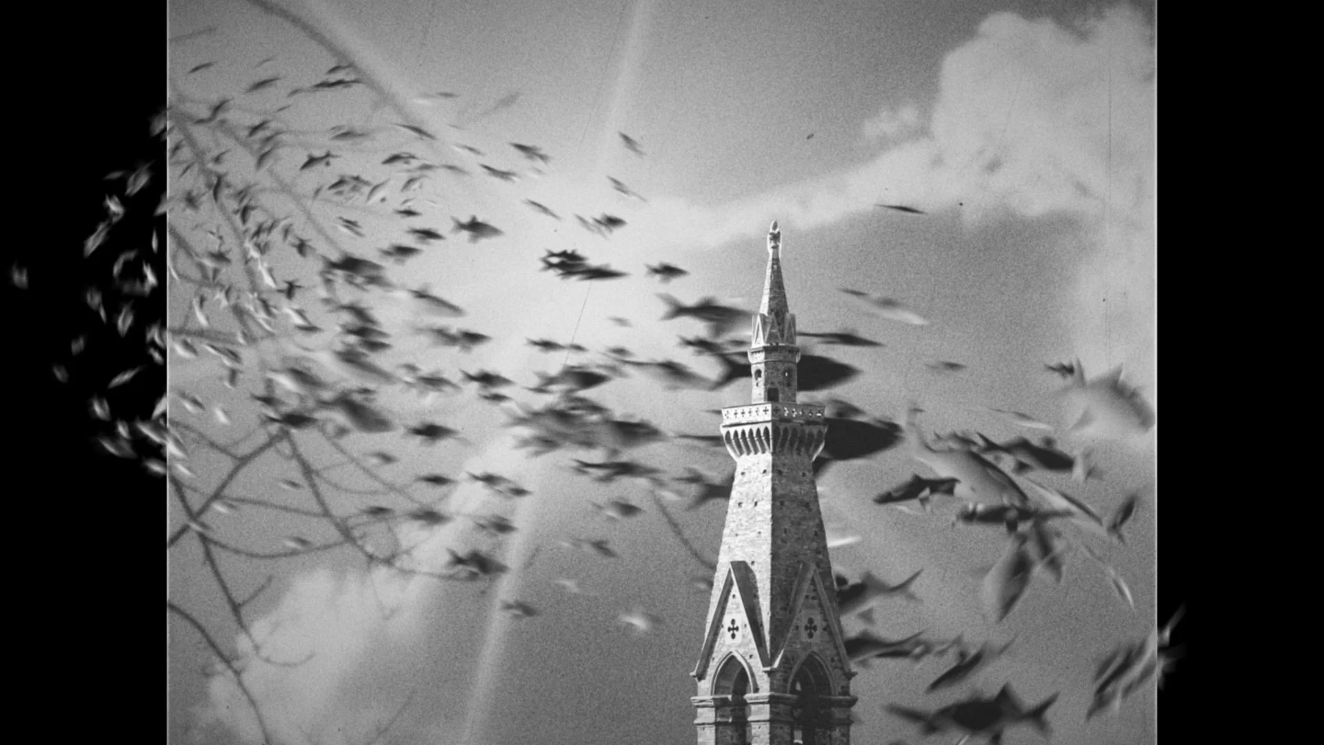 Women Calling the Shots - Short Films Programme with Jyoti Mistry