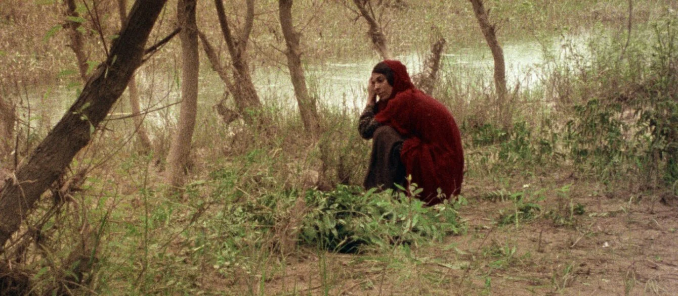 The Sealed Soil (1977)