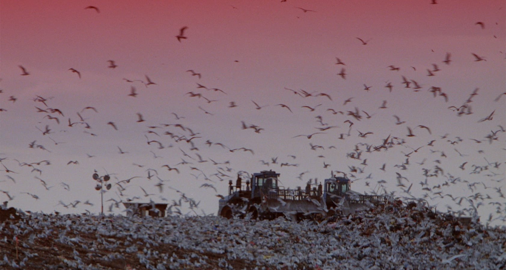 Fresh Kill (1994)