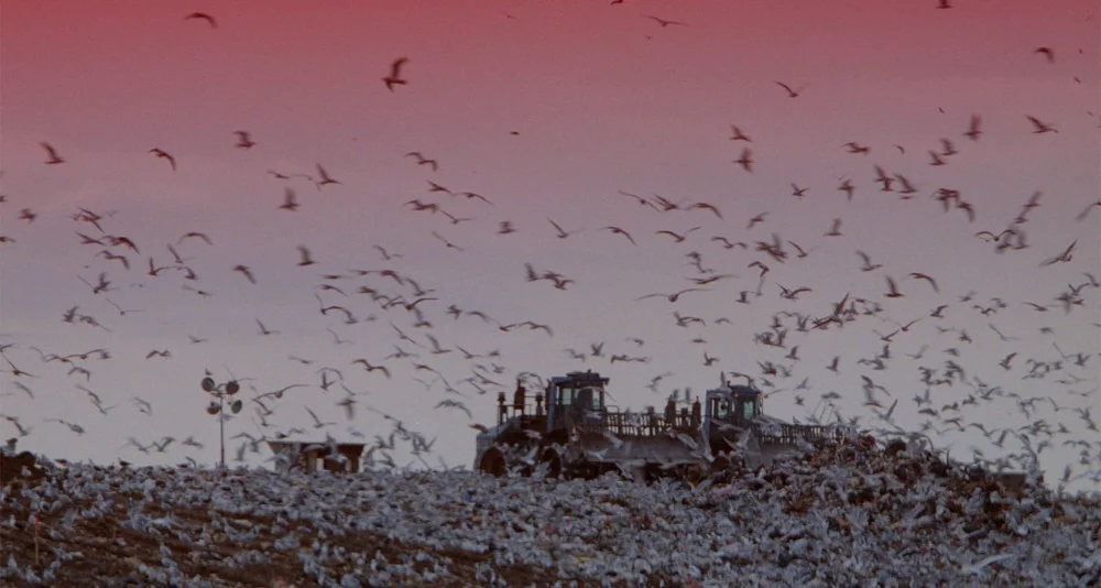 Fresh Kill (1994)