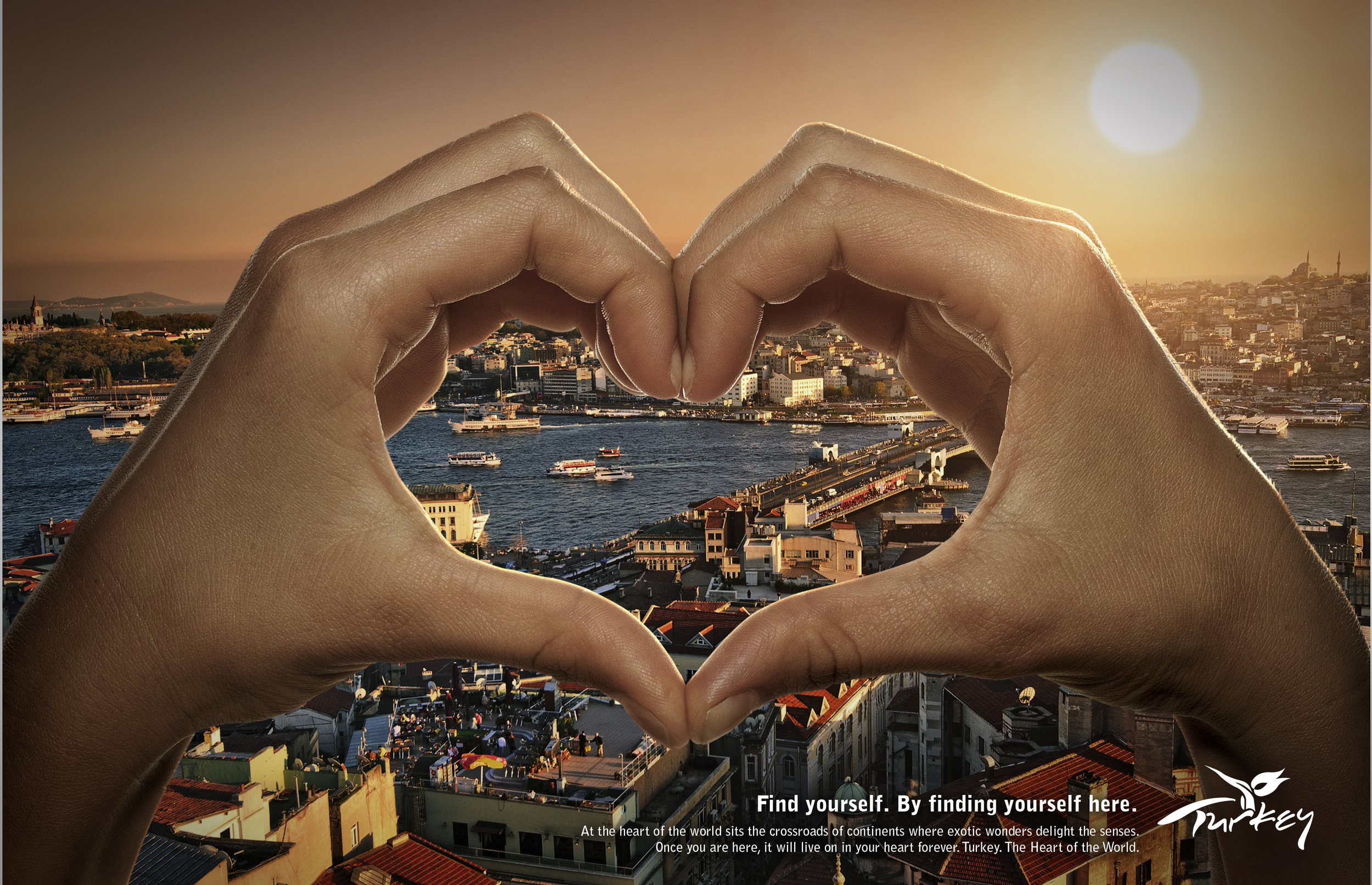 Heart Campaign_Image 1.png