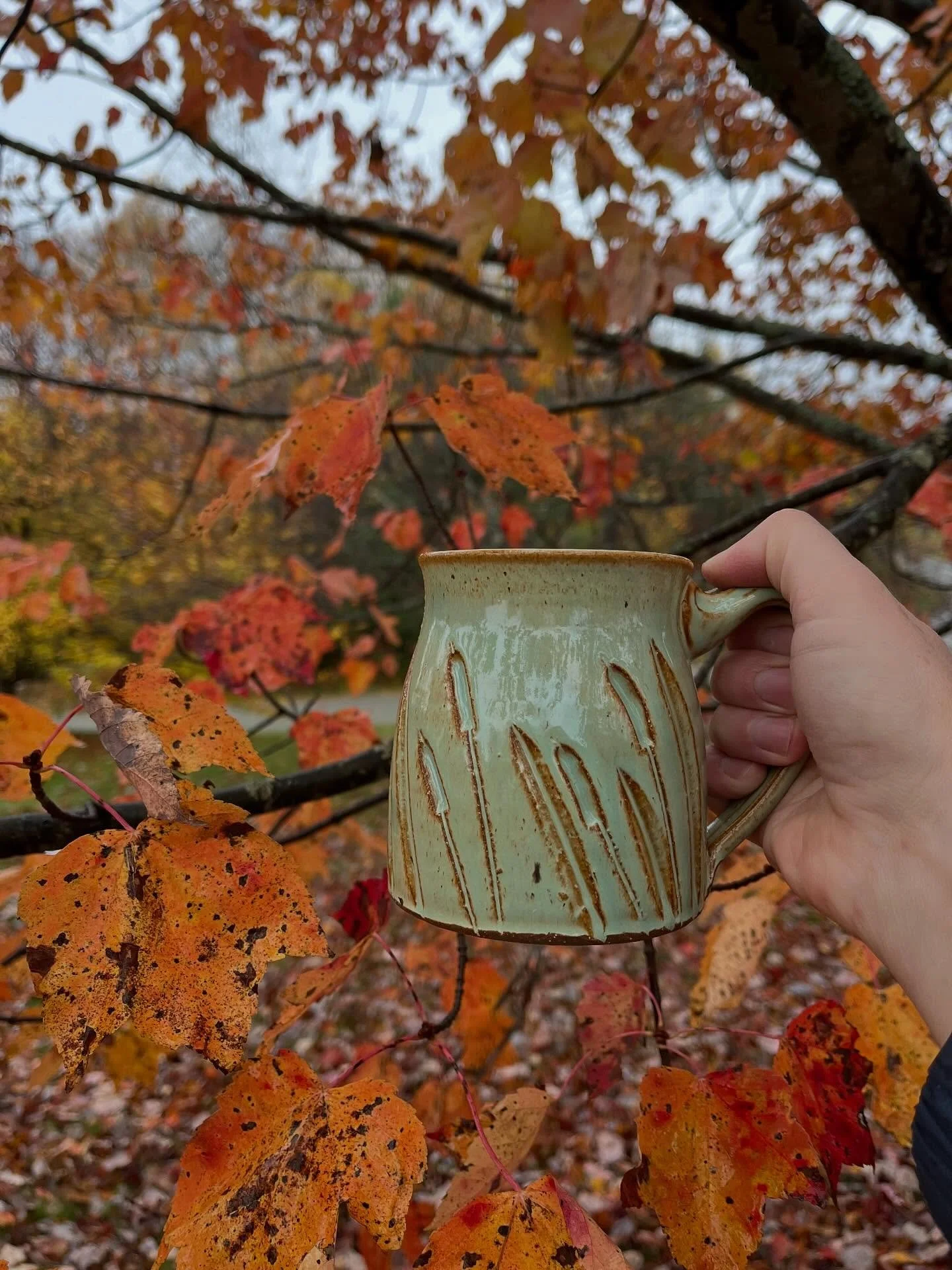 I’m so enamored with this maple in the yard, I’d like to press pause but since I don’t have magic powers yet and these things are fleeting I settled for a rainy day photo shoot. Interesting how there are seasons we wish we could pro