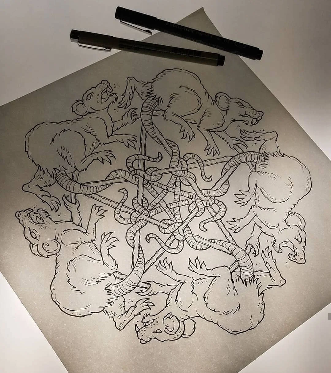 Black ink drawing of five mice with long tails, tangled in the center of a pentagram