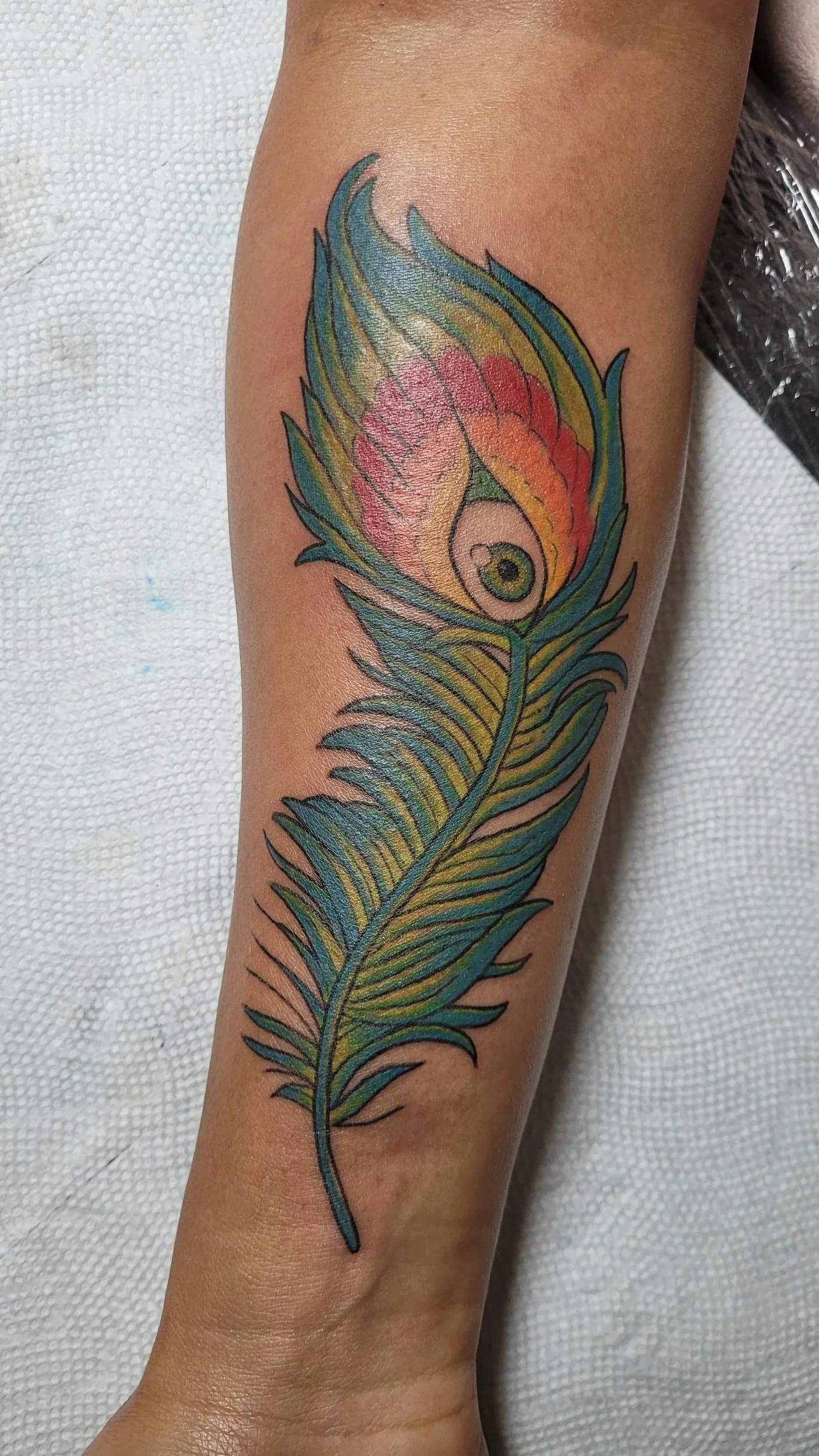 Colorful tattoo of a peacock feather on a person's arm.
