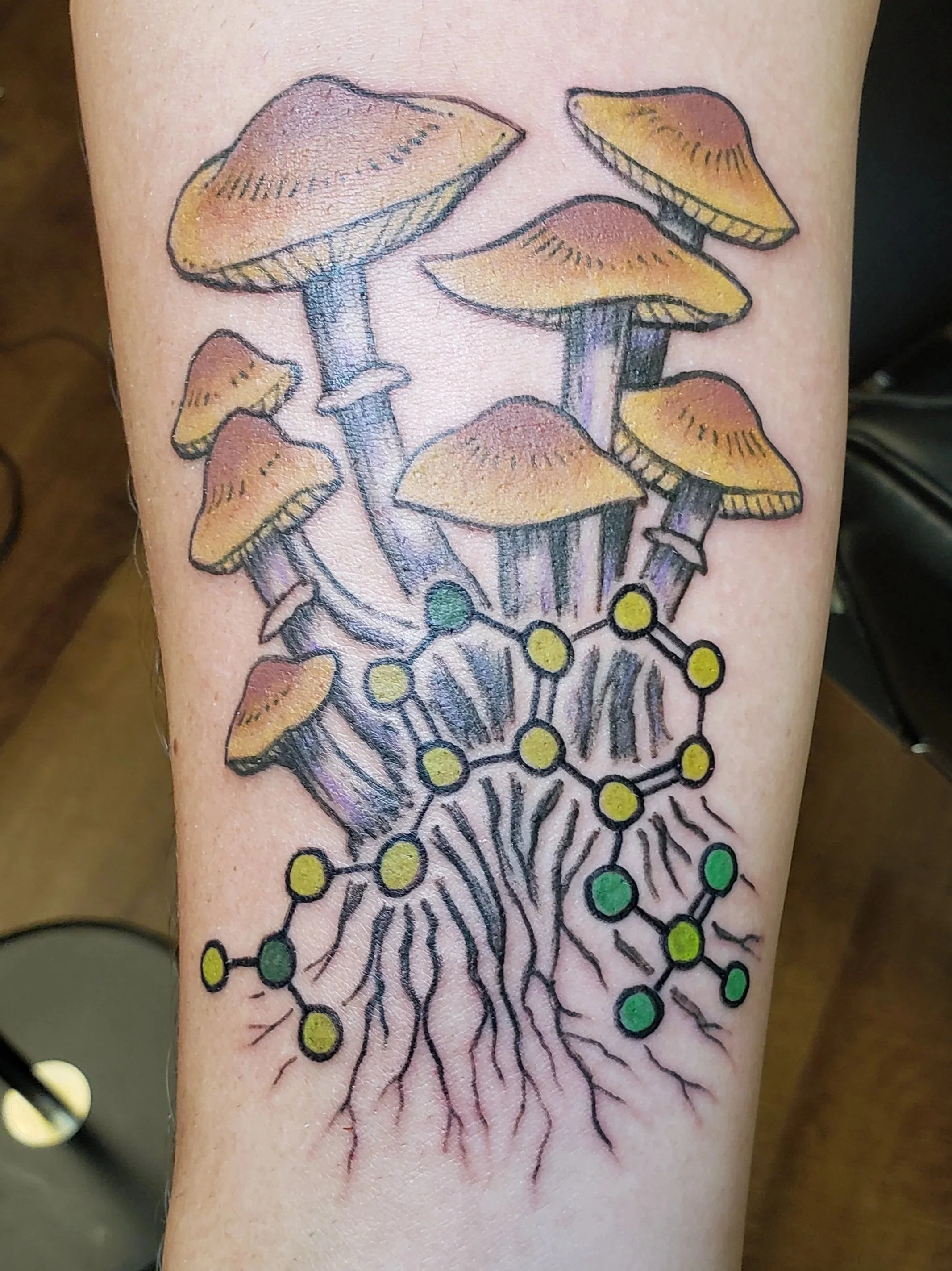 House of ink Tattoo Description: Forearm Tattoo, Mushroom with chemistry model, Neo_Traditional Style, Colored