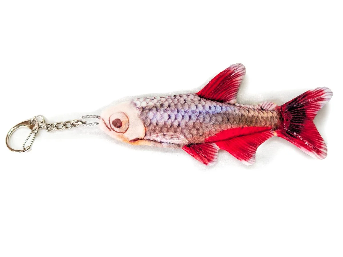 Bloodfin.jpg