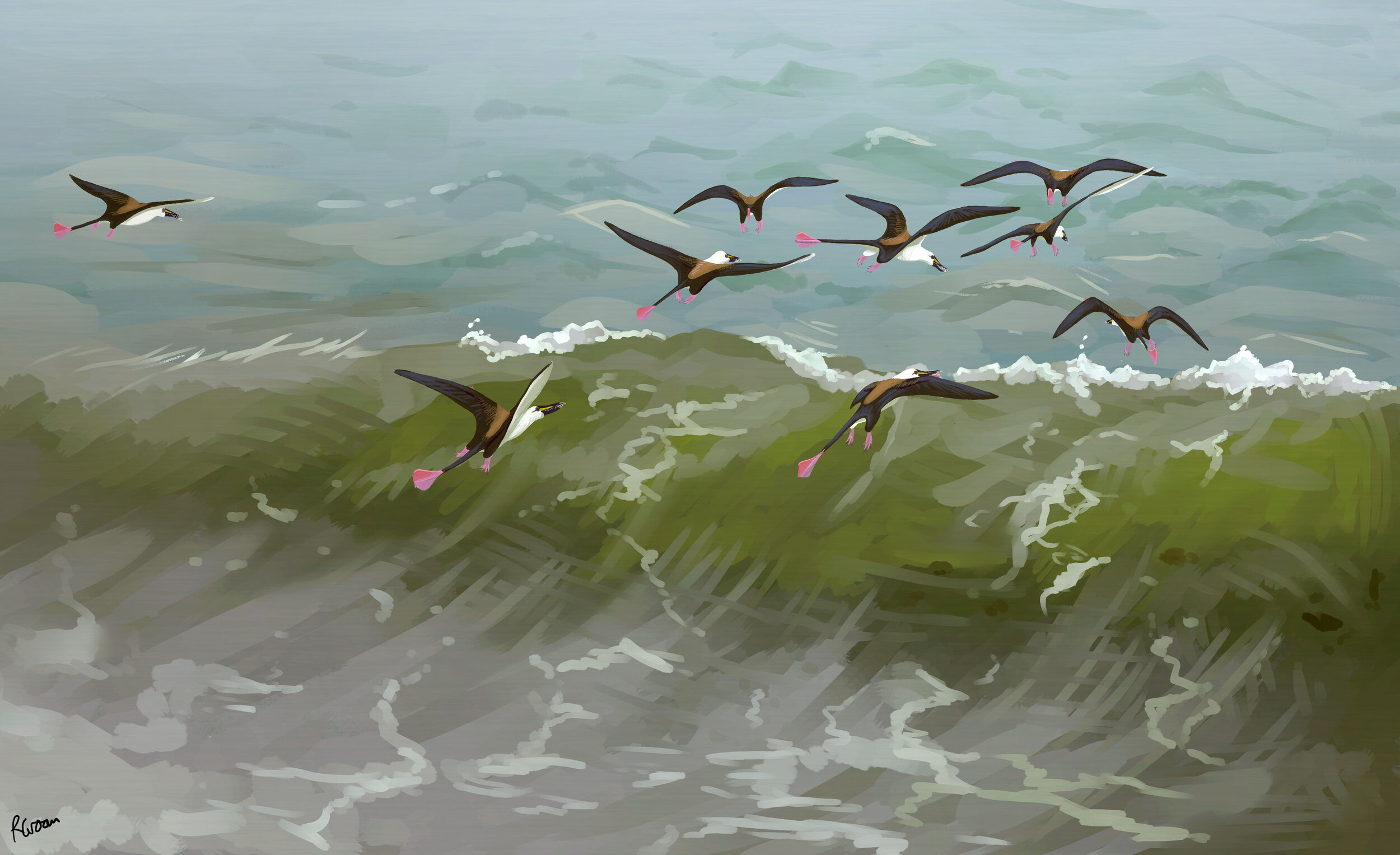 Rhamphorhynchus