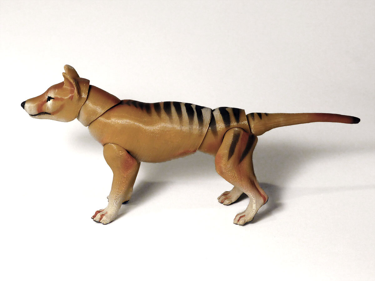 3D Printed Thylacine BJD