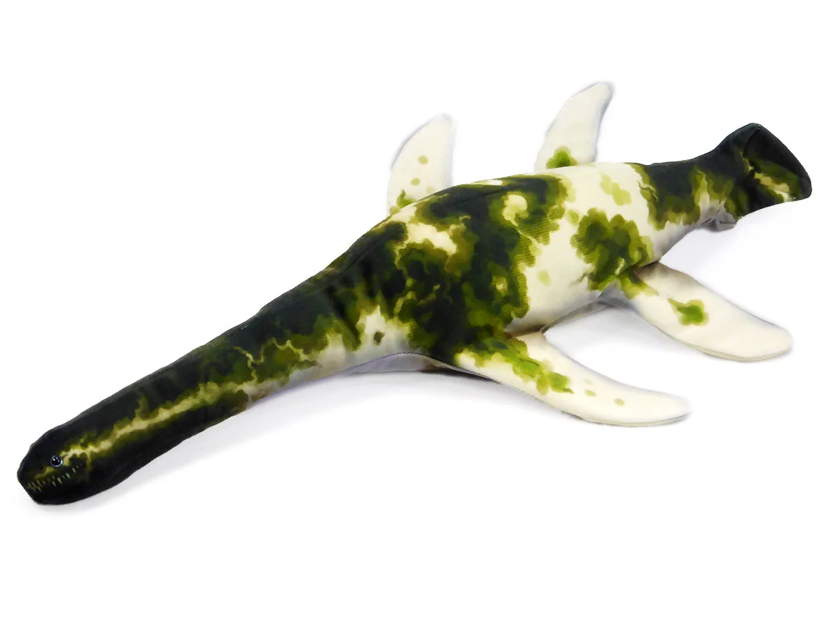 Plesiosaurus dolichodeirus