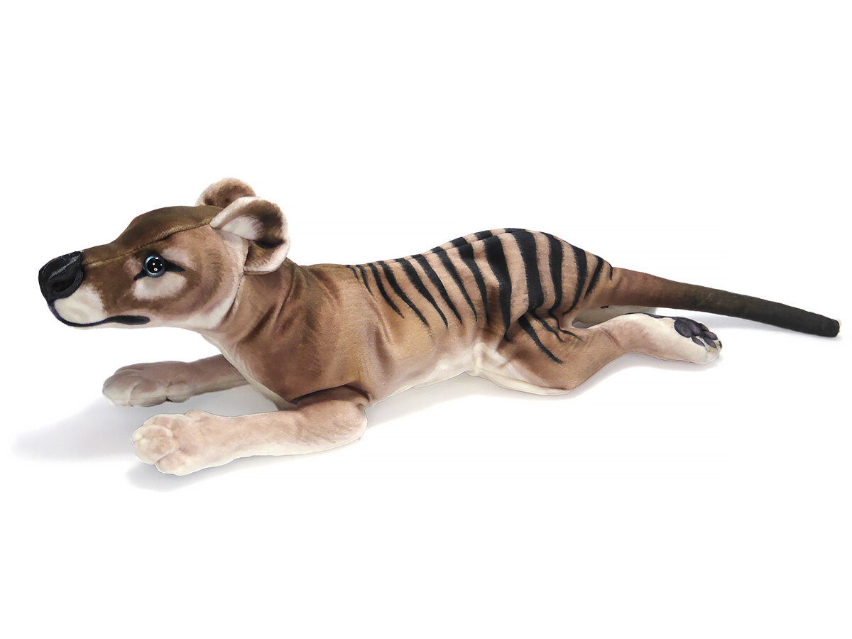 Plush toy of a lying down thylacine