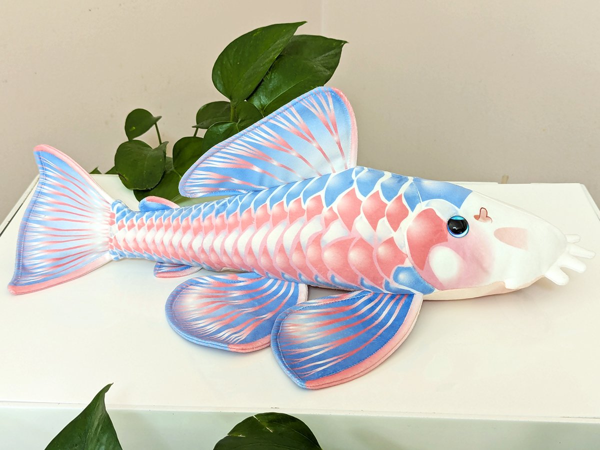 Plec- Trans.jpg