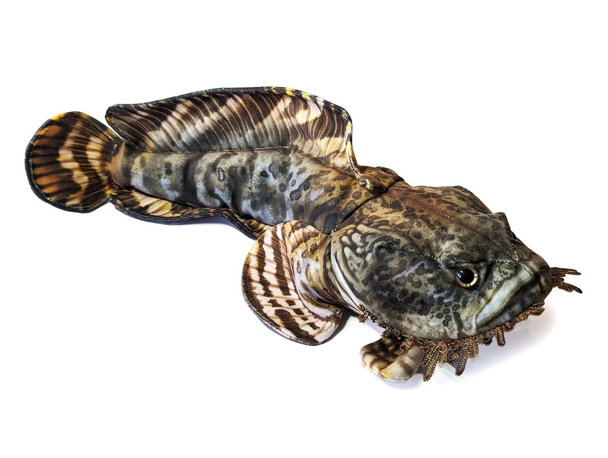 OysterToadFish3.jpg