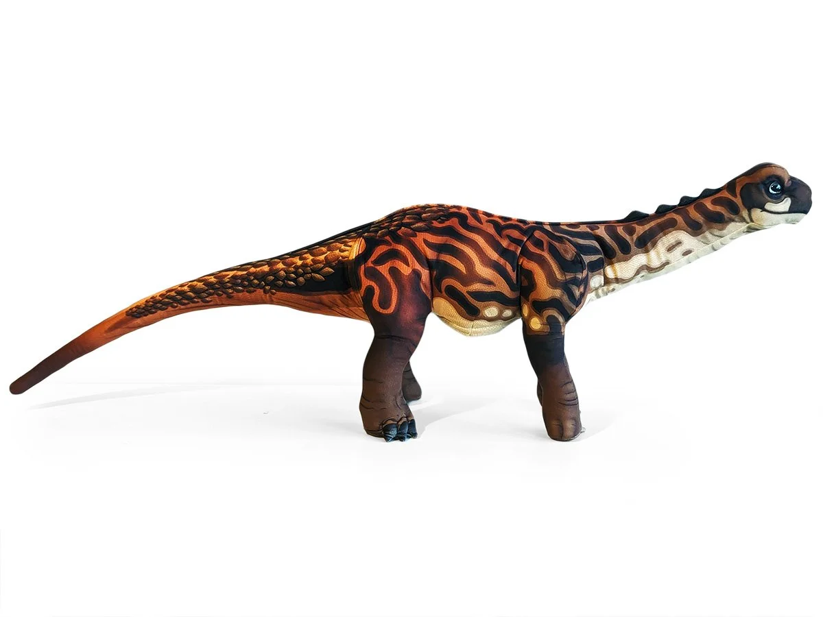 Dippy1.jpg