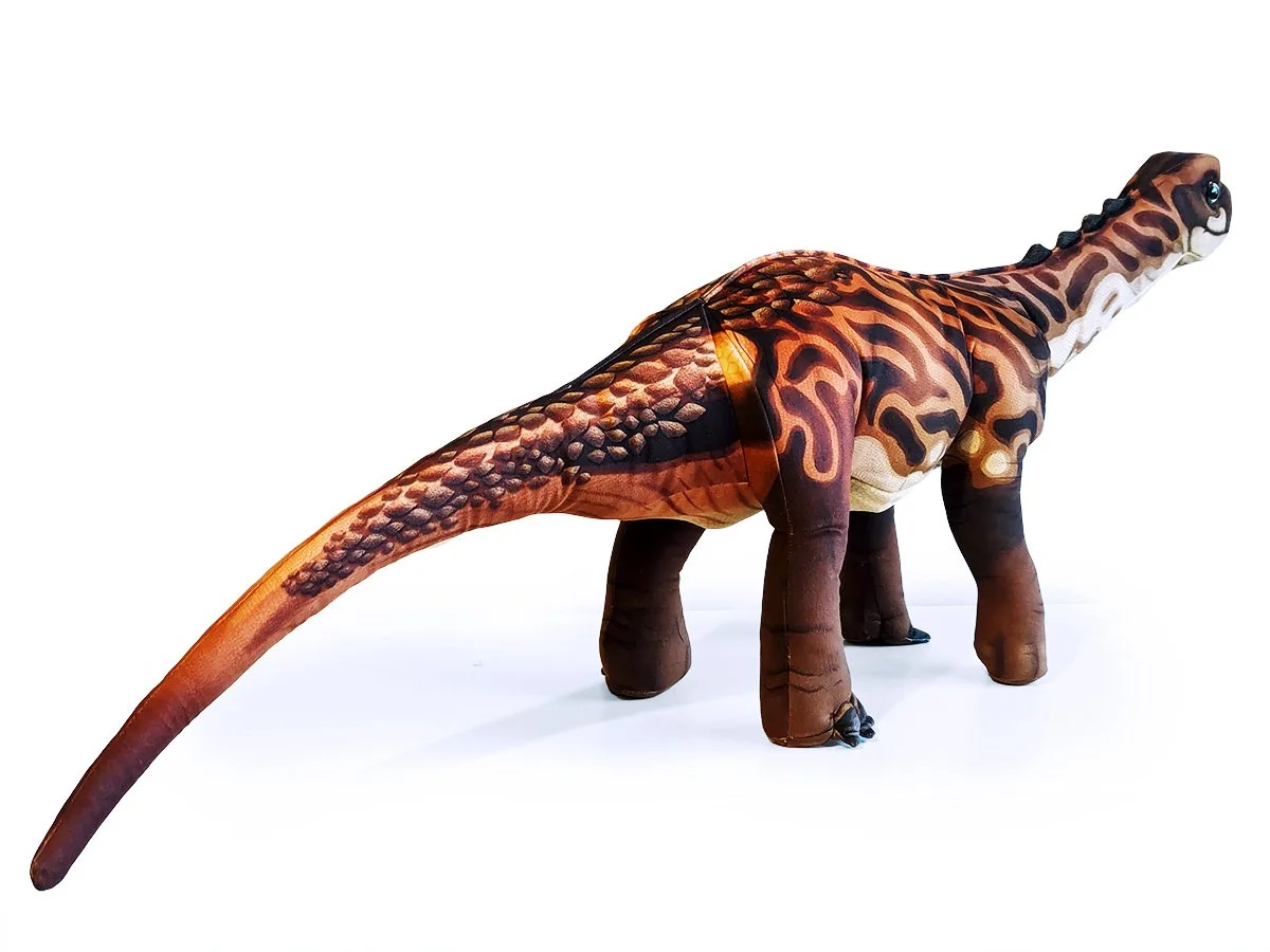 Dippy4.jpg