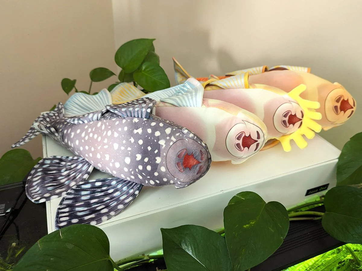 Bellies.jpg