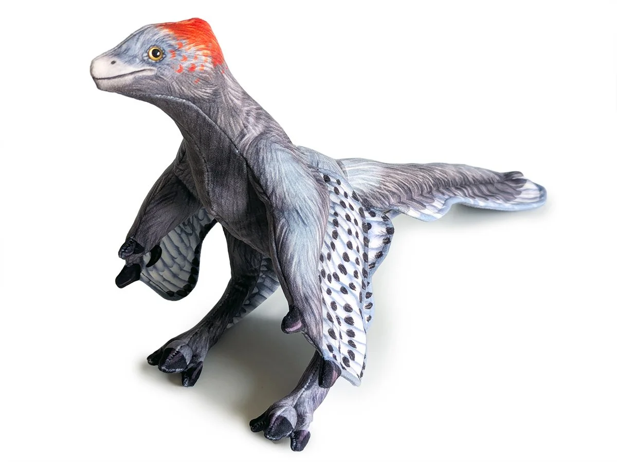 Anchiornis 3.jpg