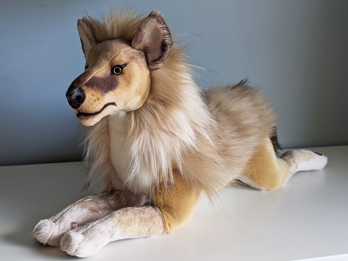 Nymeria 2.jpg
