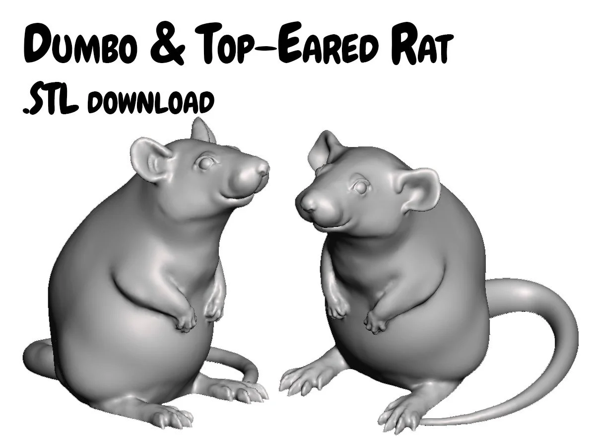 3D Model Rattus norvegicus .STL file
