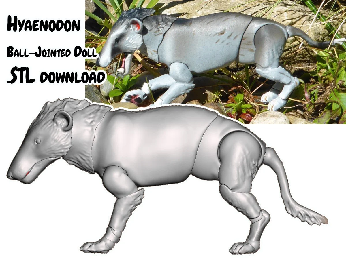 3D Model Hyaenodon BJD .stl file