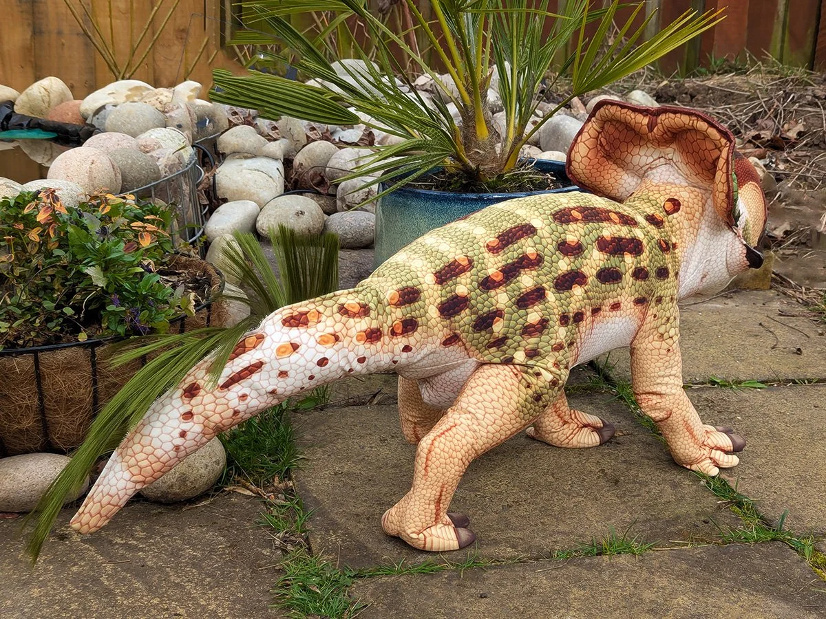 Protoceratops 3.jpg