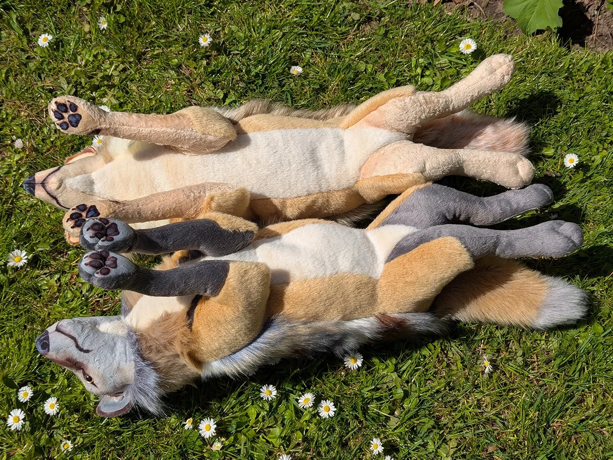 Two Wolfs 2.jpg