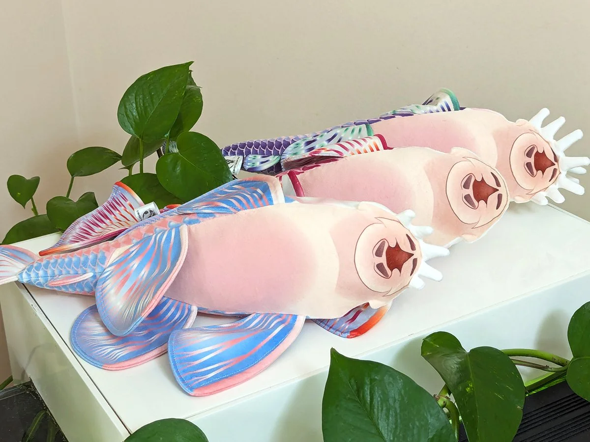 Gay Bellies.jpg