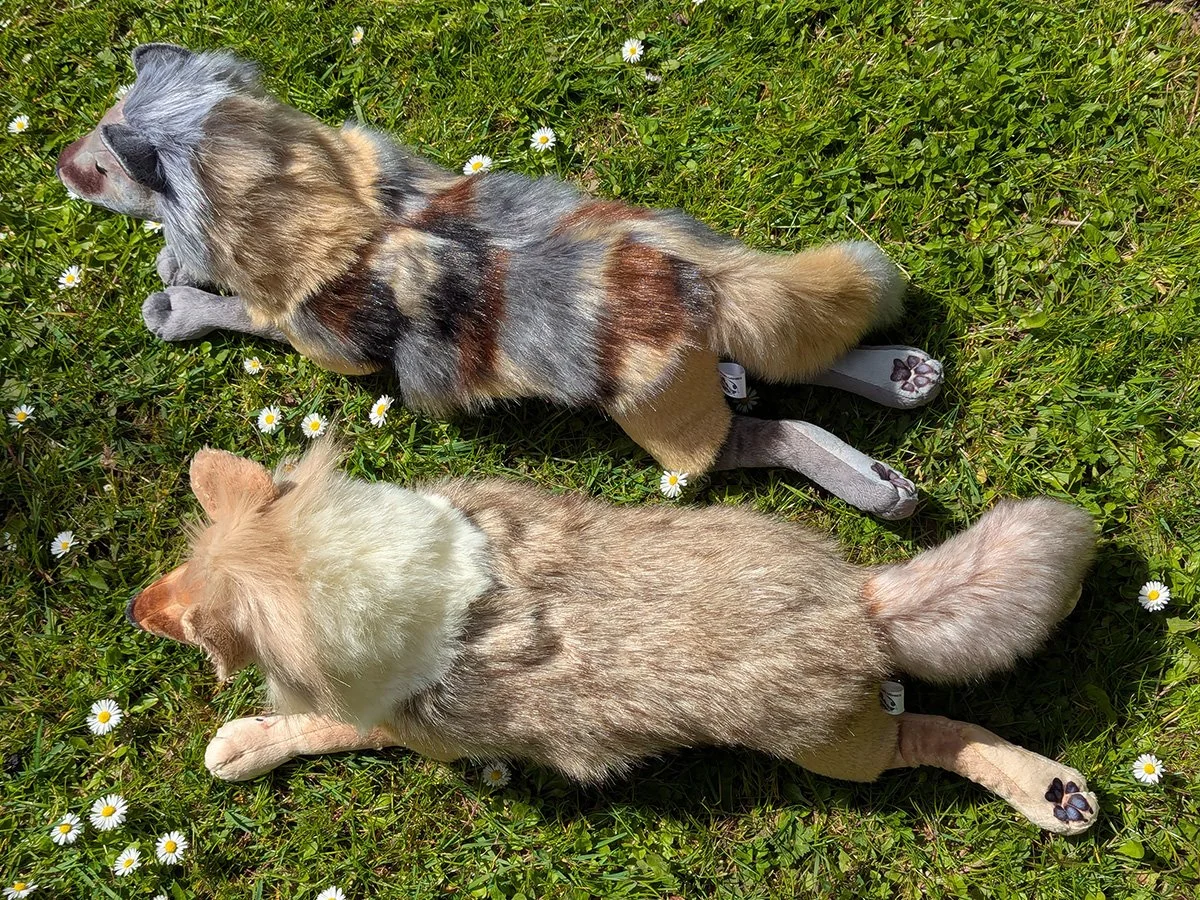 Two Wolfs.jpg