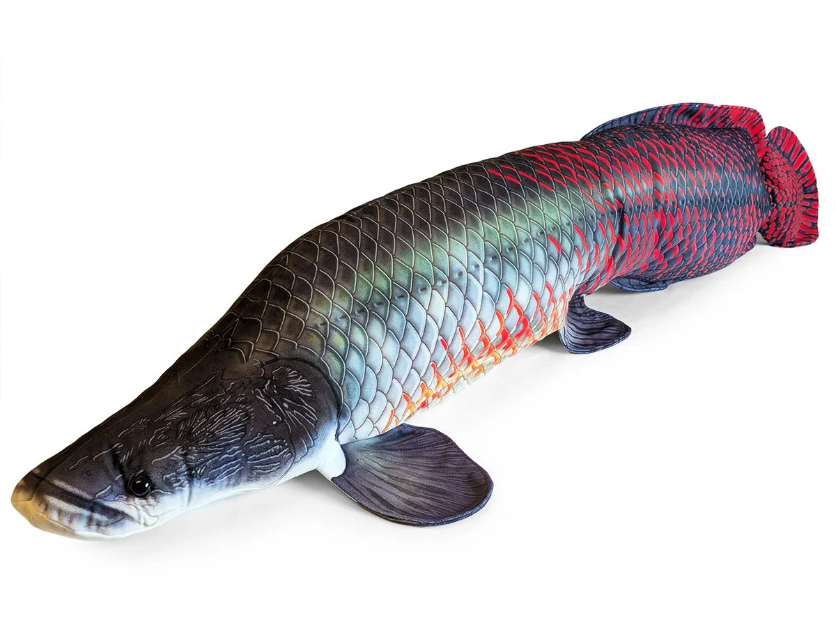 Large Arapaima.jpg