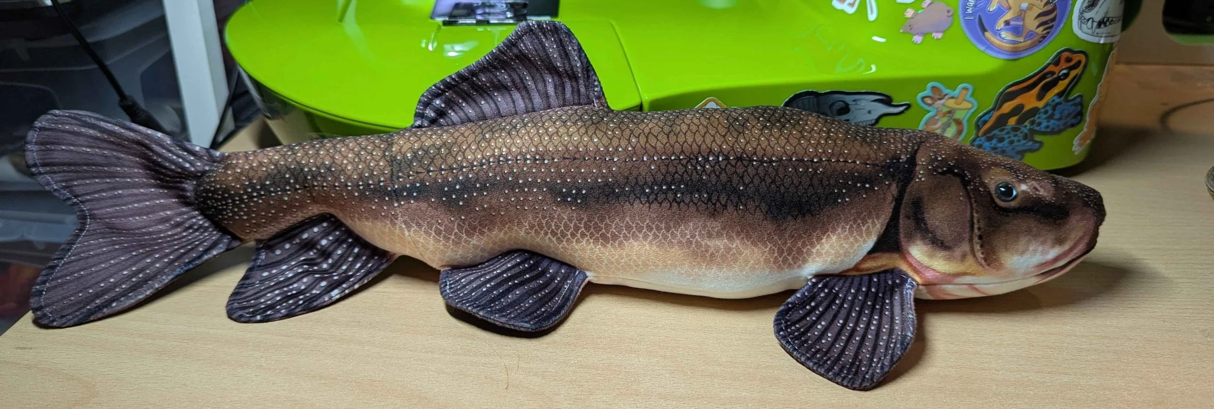 Lost River Sucker.jpg