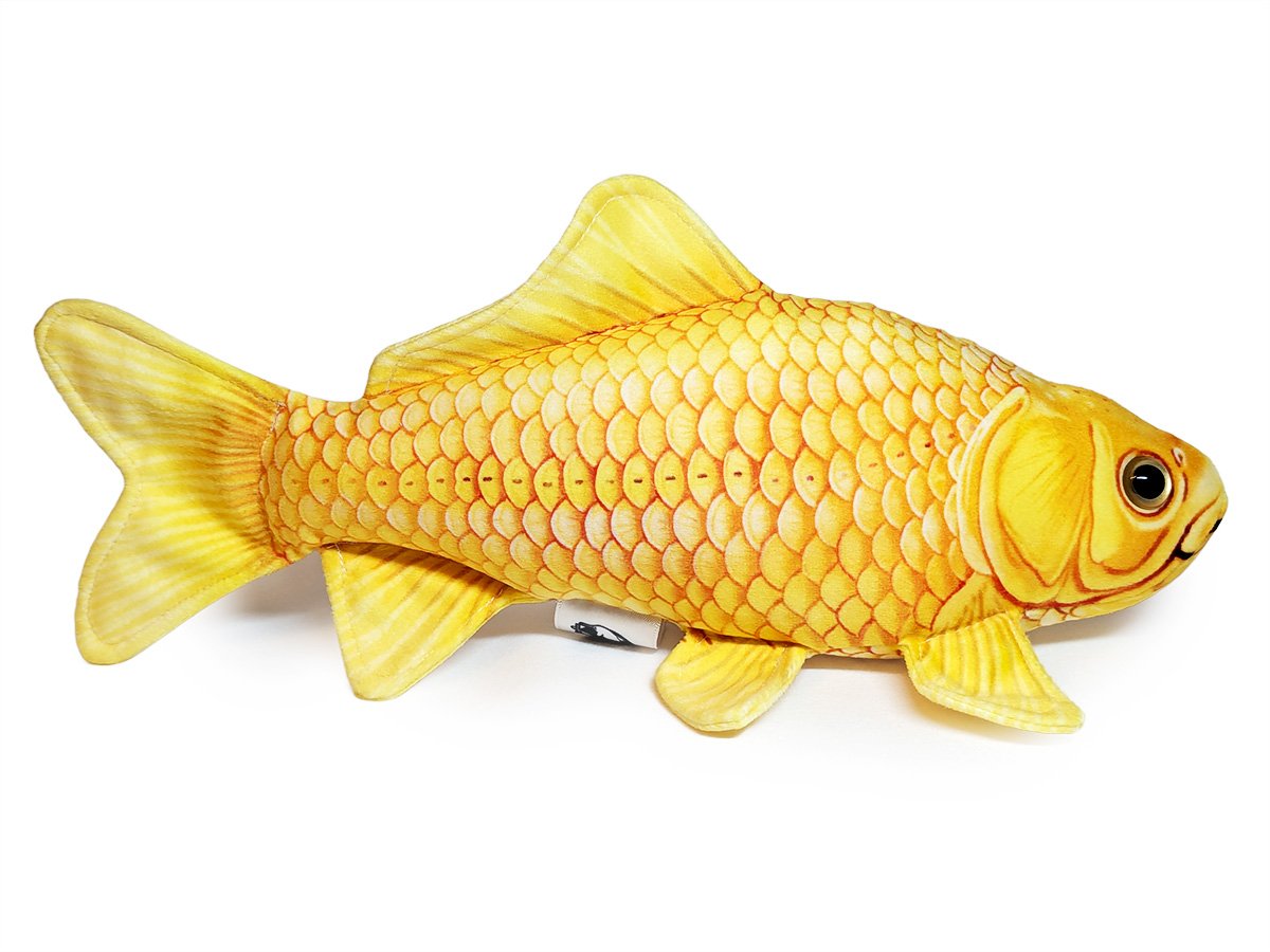Yellow Common.jpg