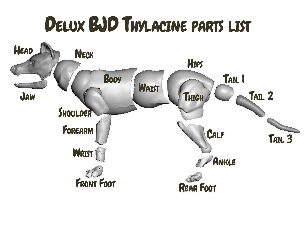 BJD Parts.jpg