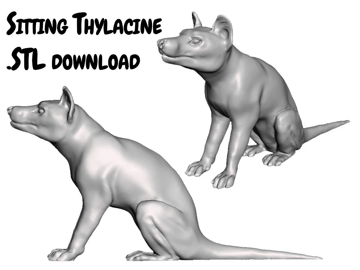 Sitting Thylacine .stl file