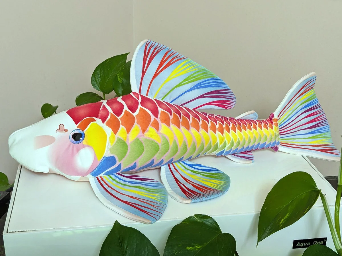Rainbow Peewee 1.jpg