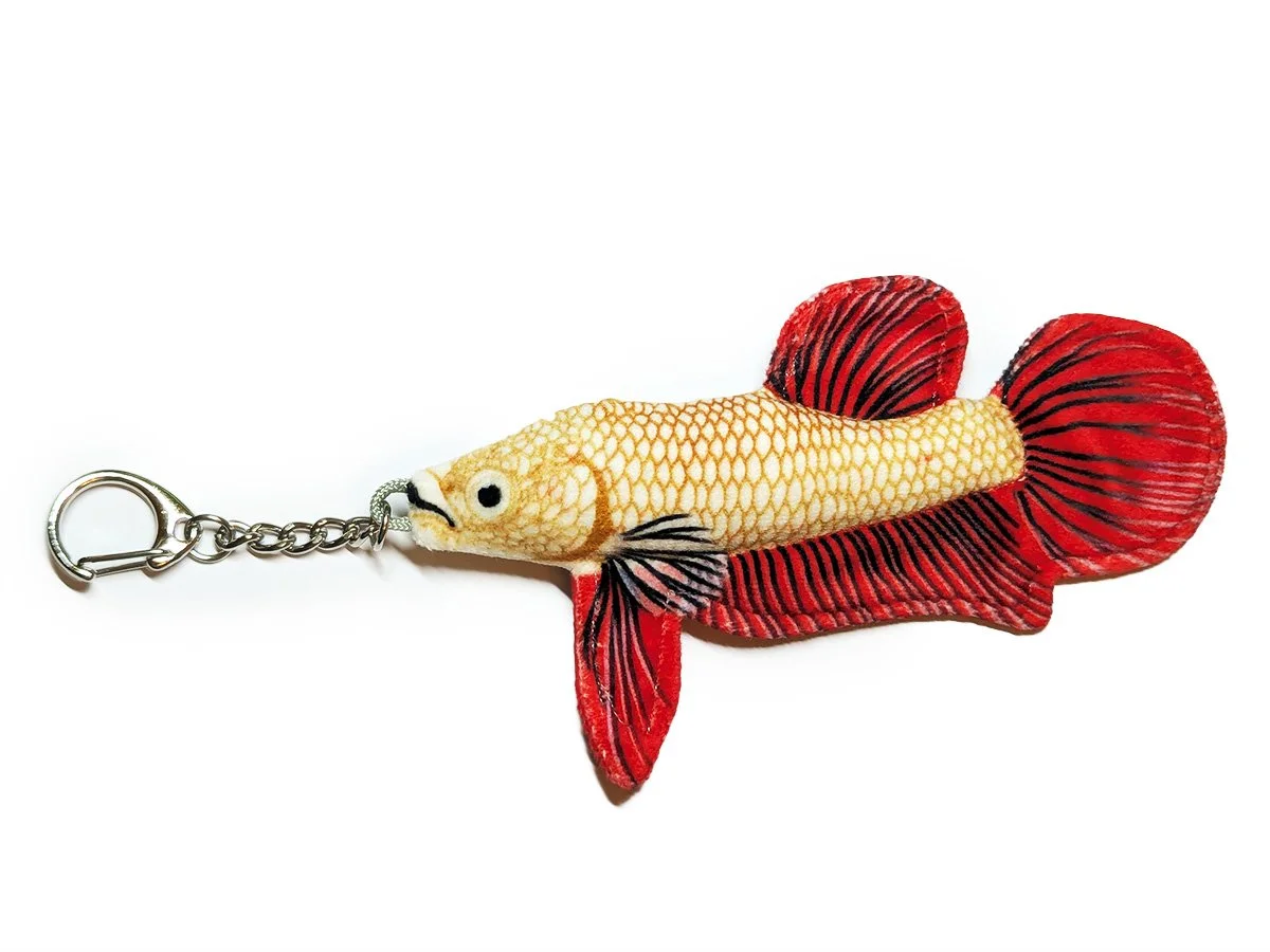 Red Dragon betta.jpg