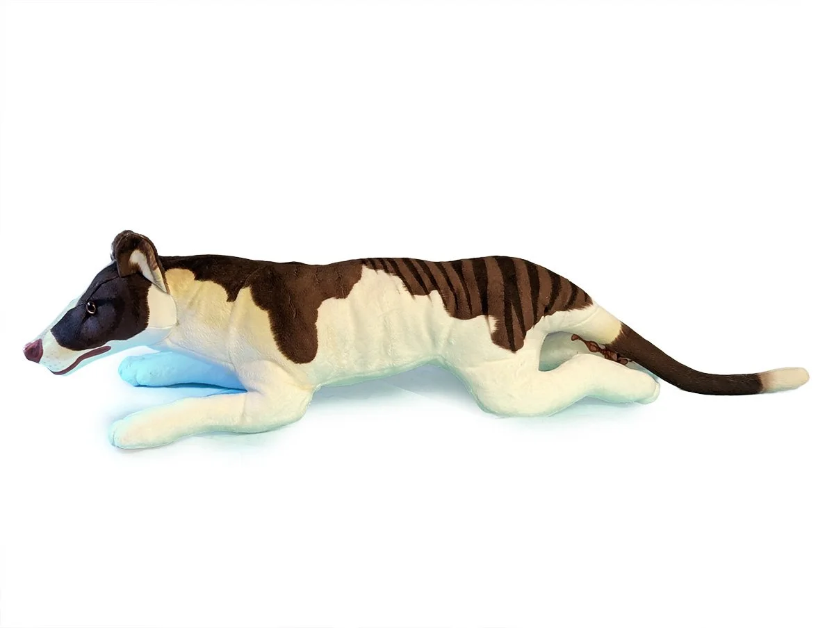 Bicolour Thylacine.jpg