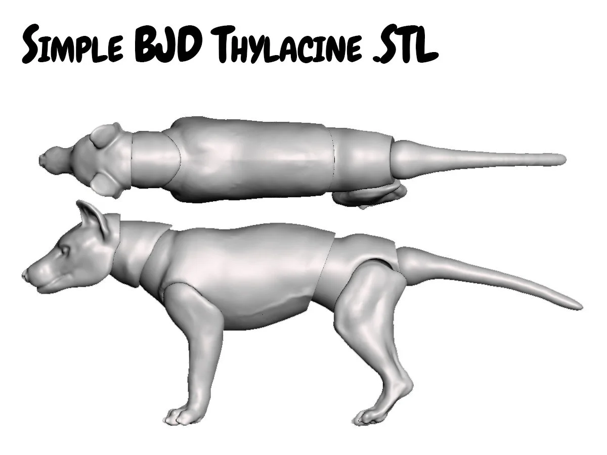Simple Thylacine BJD .stl file