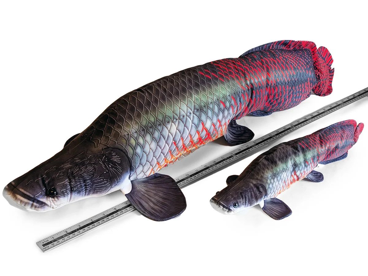 Both Arapaima.jpg