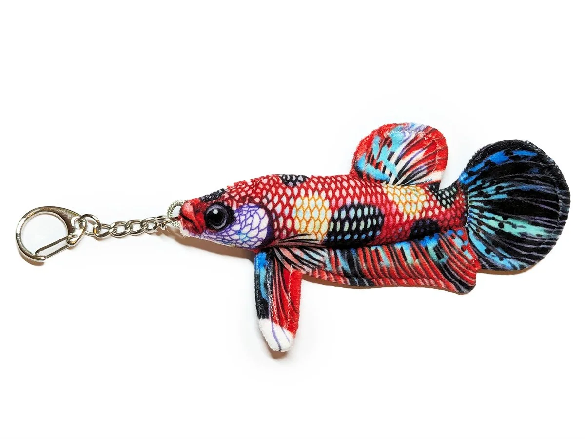Koi Plakat Betta.jpg