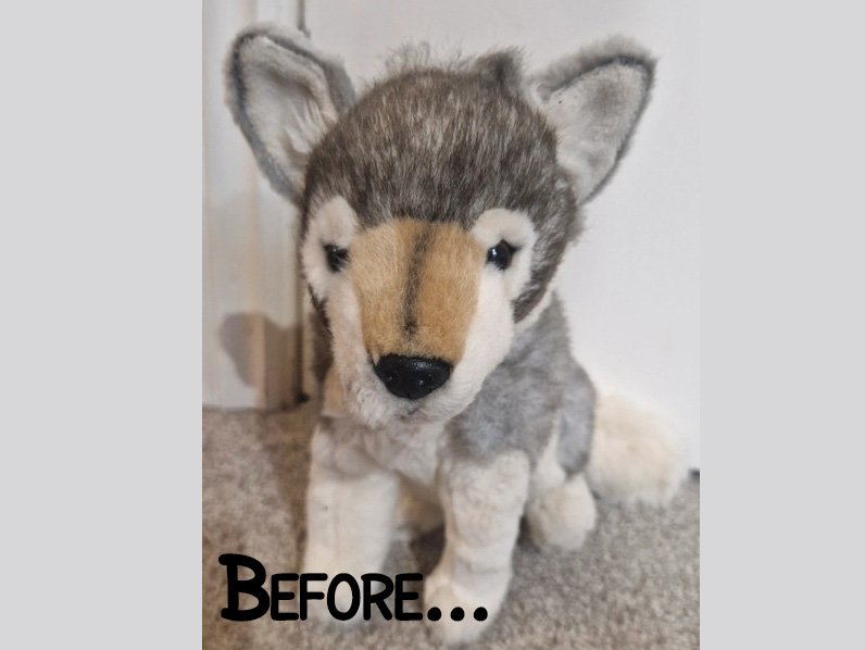 Before.jpeg