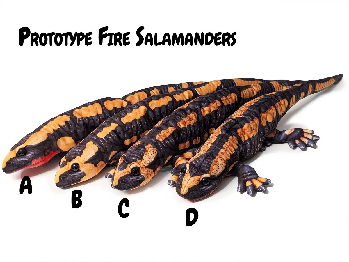 PROTOTYPE Salamandra salamandra terrestris – Barred Fire Salamander