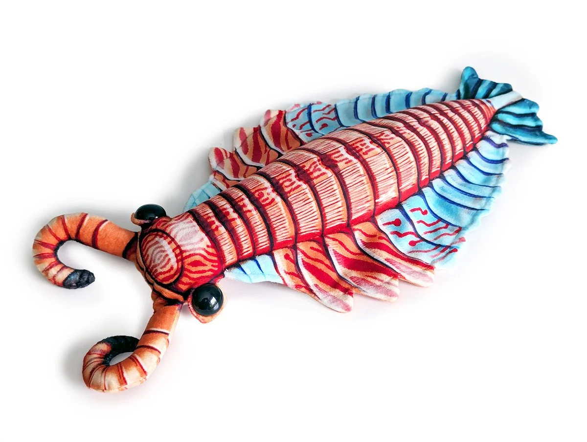 Anomalocaris.jpg
