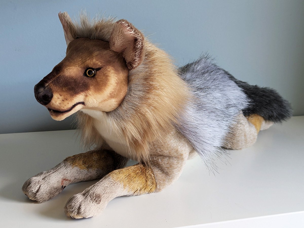 Remus 2.jpg