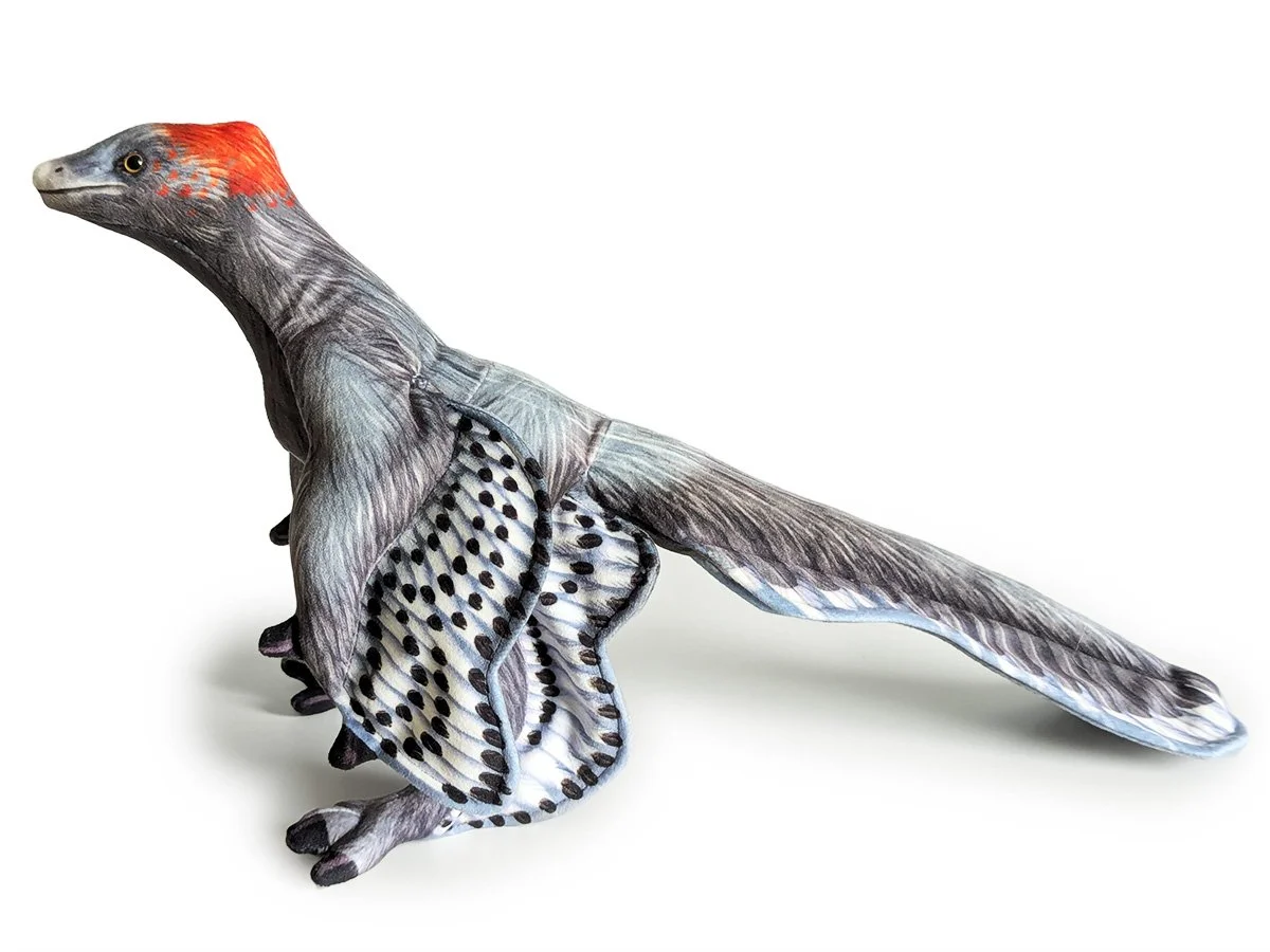 Anchiornis 1.jpg