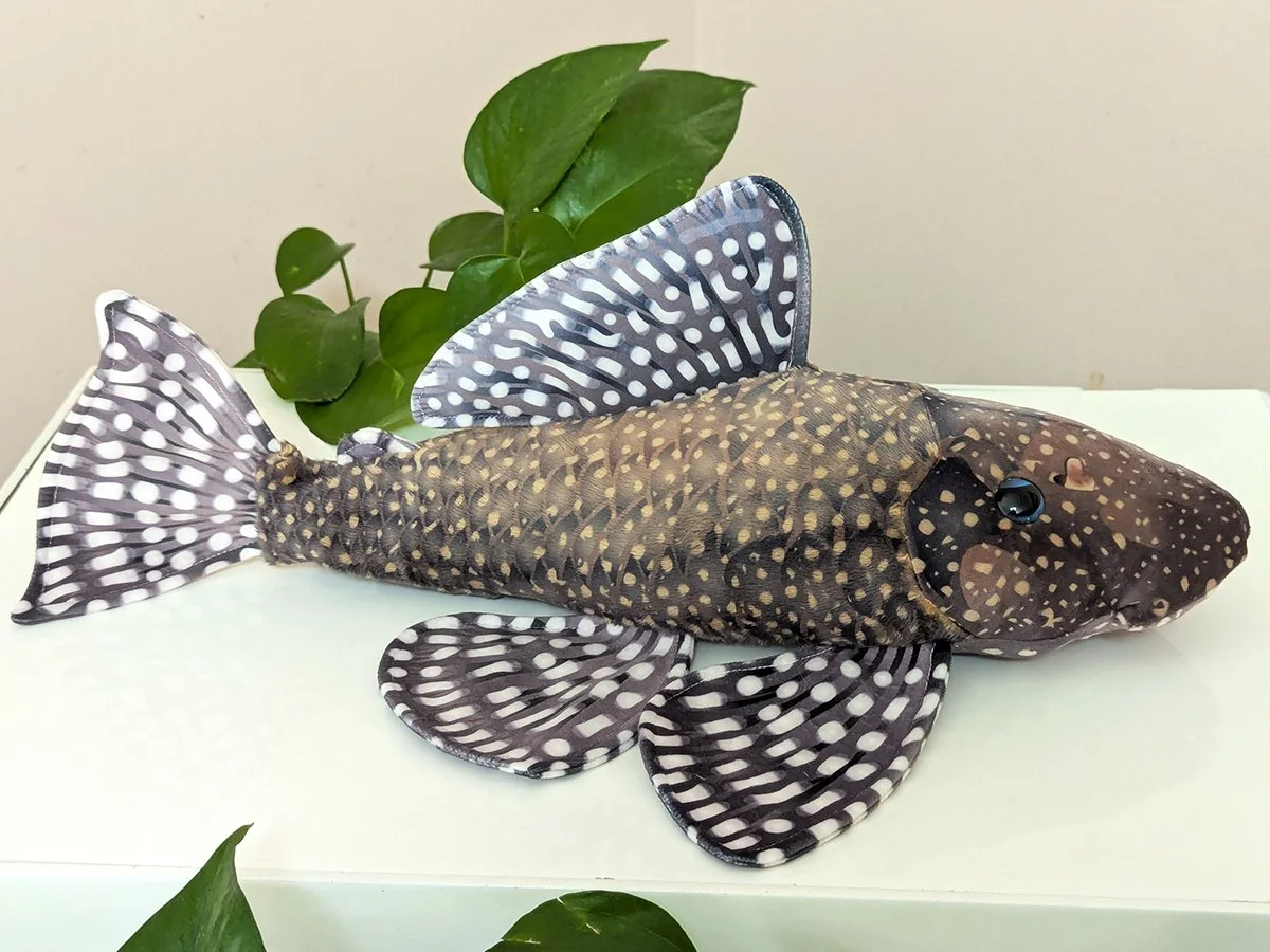 Plec - Wild.jpg