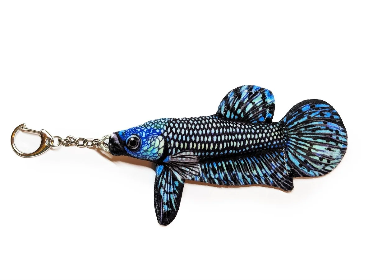 Blue Alien Betta.jpg